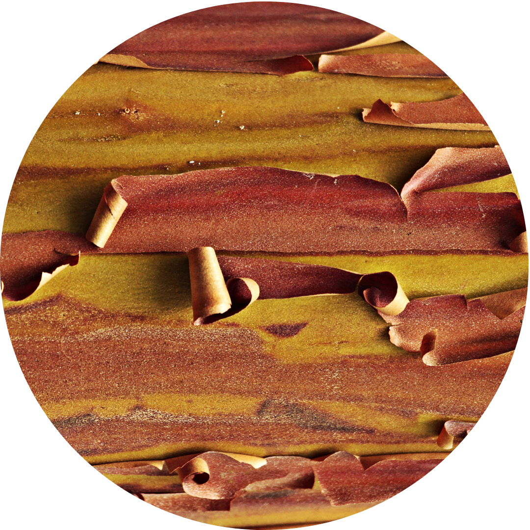 Ablative Laser Behandlung