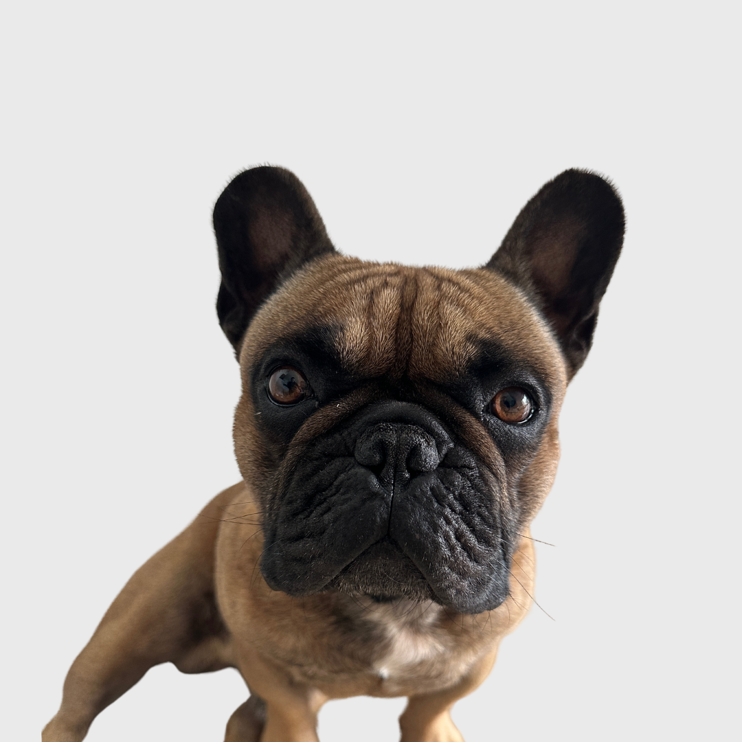 Lui