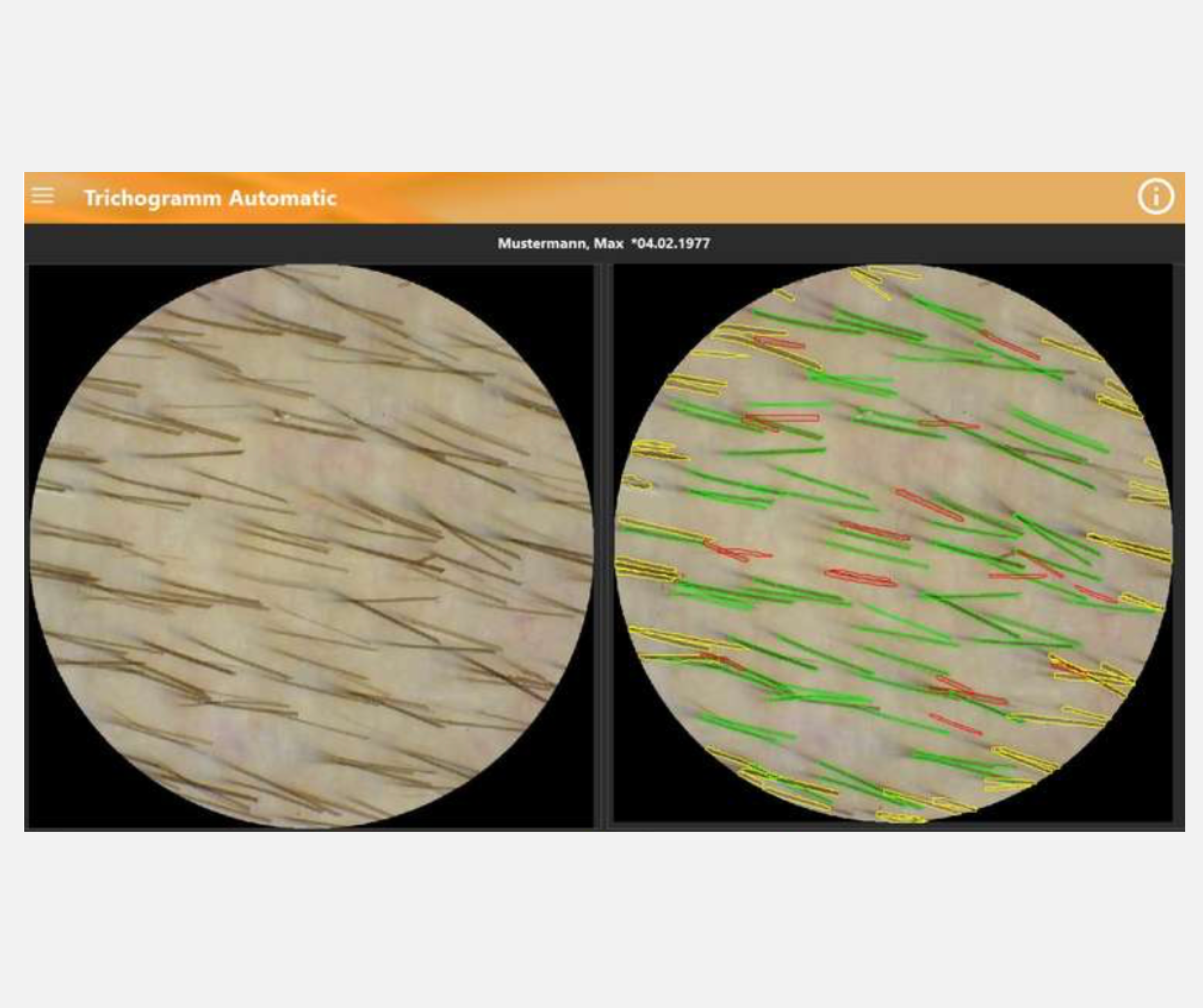 Website Bilder Format (1)