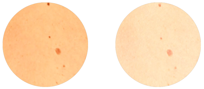 Polarisation 